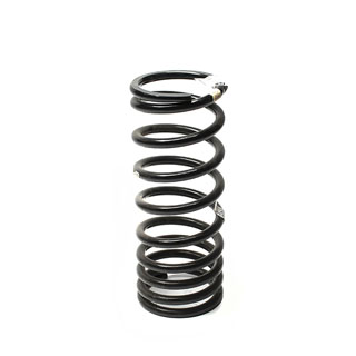 Coil Spring - Rear Discovery