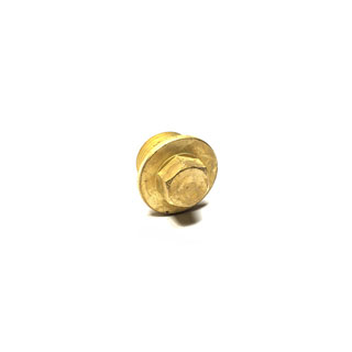 Filler Plug Hexhead Brass